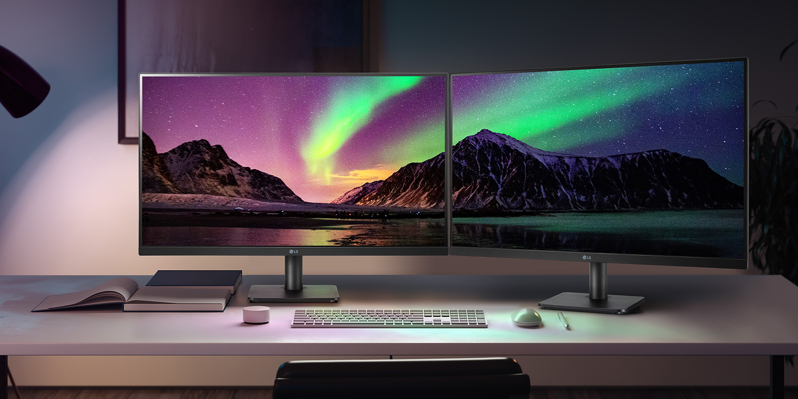 LG Monitor